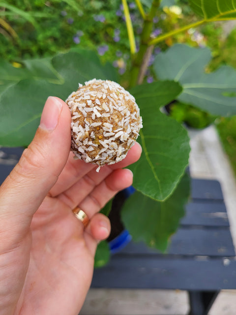 Energibollar med Äpple