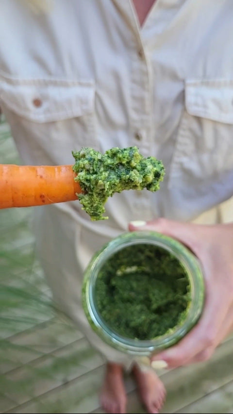 Morotsblastpesto