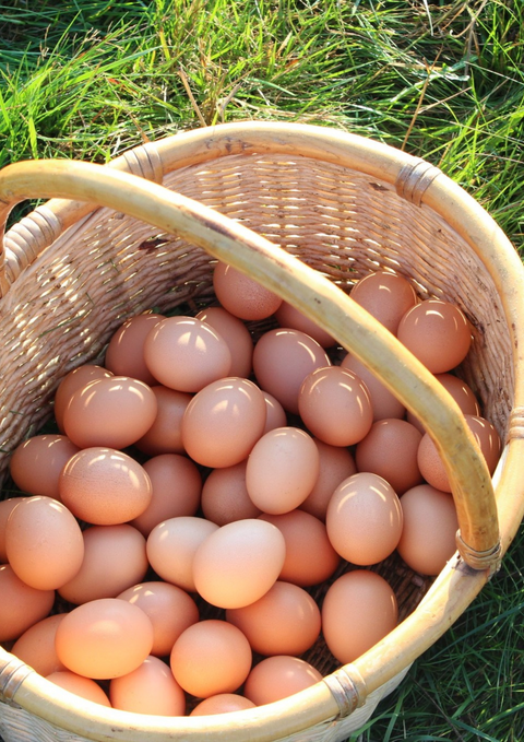 Grönbetesägg