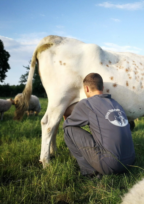 Grönbetesyoghurt 1L