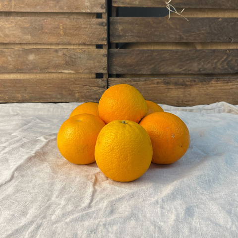 Apelsiner EKO 5-pack