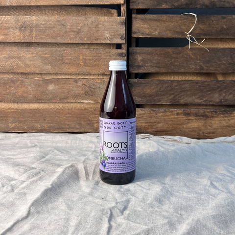 Kombucha Blåbärsdröm EKO 33cl