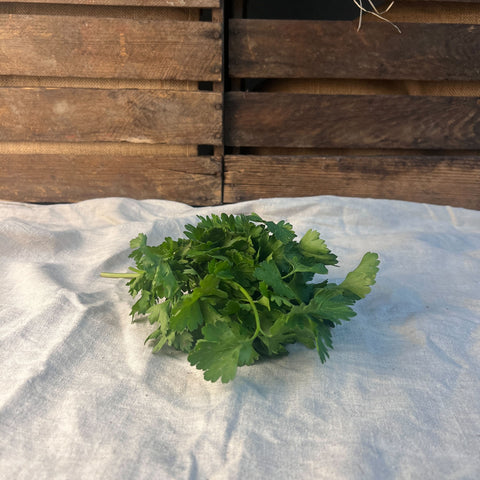 Persiljeknippe 70g EKO