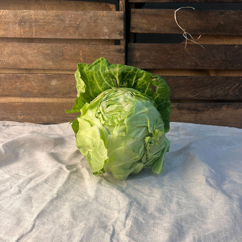 Vitkålshuvud 0,5kg EKO