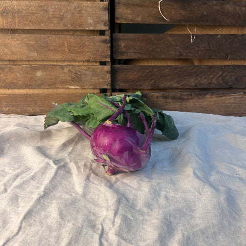 Kålrabbi 0,5kg EKO