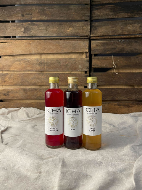 Kombucha 25cl EKO