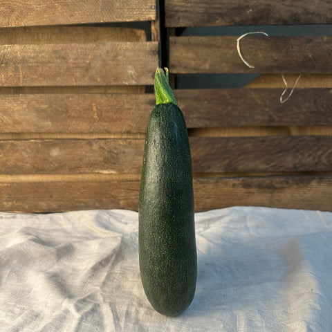 Zucchini EKO