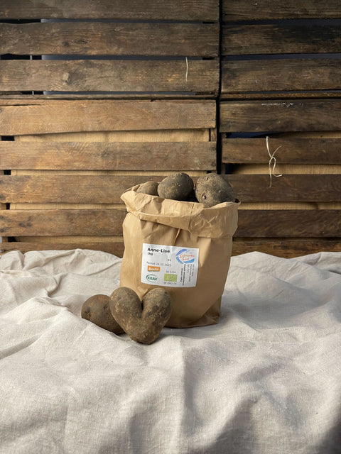 Biodynamisk potatis Anne-Lise blå 1kg EKO