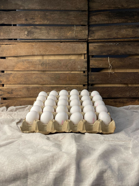 Gårdsägg frigående utehöns