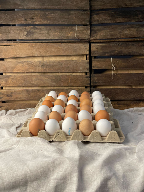 Ägg frigående utomhus 30-pack EKO