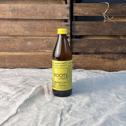 Kombucha Ingefära EKO 33cl