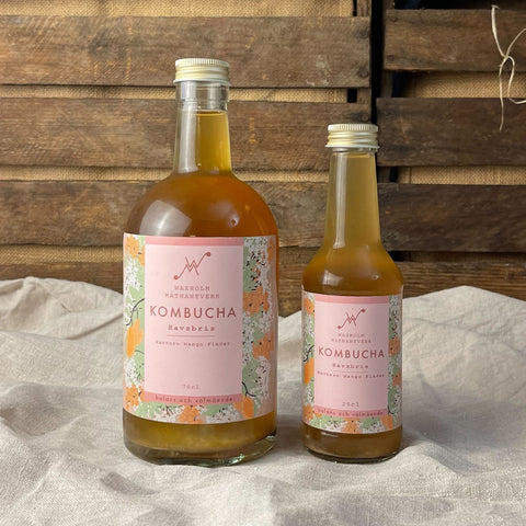 Kombucha Havsbris
