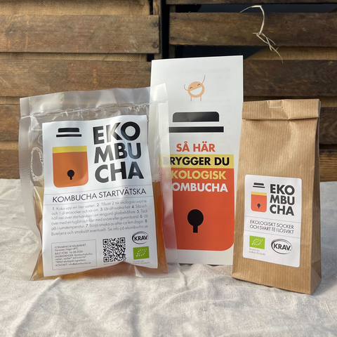 Startkit för kombucha EKO