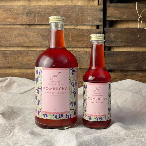 Kombucha Svartvinbär