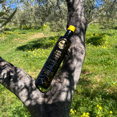 Kallpressad extra virgin olivolja EKO 0,50L