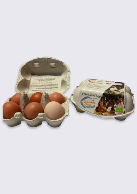 Ägg frigående utomhus 30-pack EKO