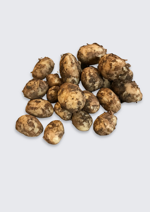Färskpotatis 1kg EKO