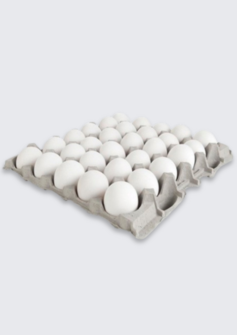 Gårdsägg frigående utehöns