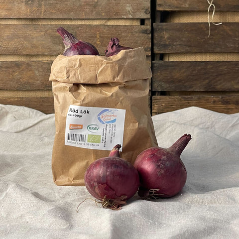 Rödlök EKO