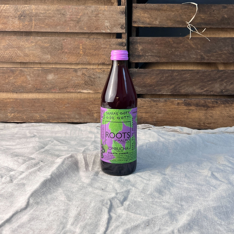 Kombucha Svarta Vinbär EKO 33cl